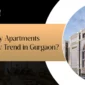 luxury Apartment in Gurgaon