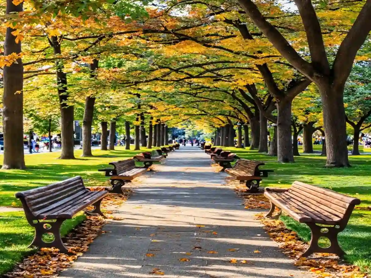 Park